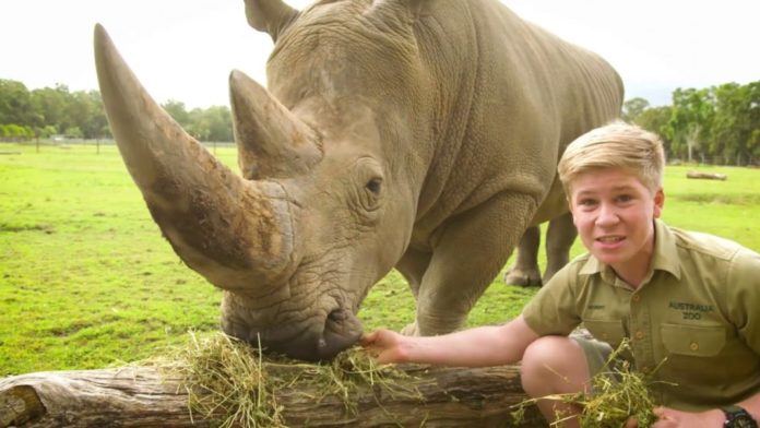 australia-zoo-jobs