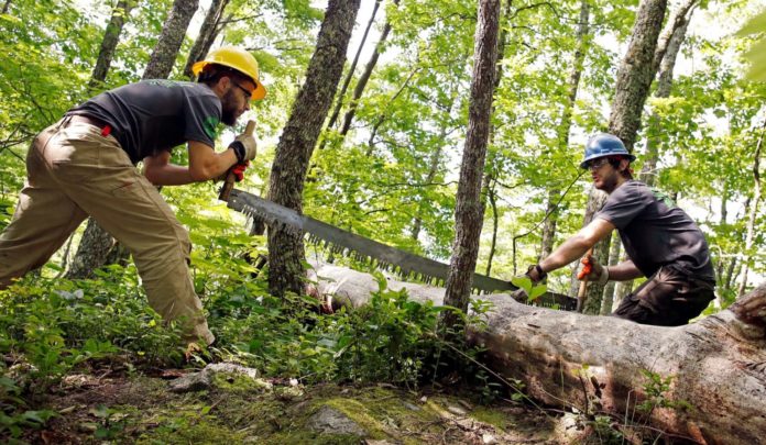 enviromental-hydrology-jobs-new-zealand