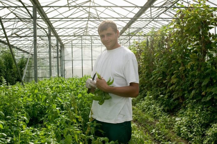 Is Farming Seeds Milling a Good Career Path Is-Farming-Seeds-Milling-a-Good-Career-Path